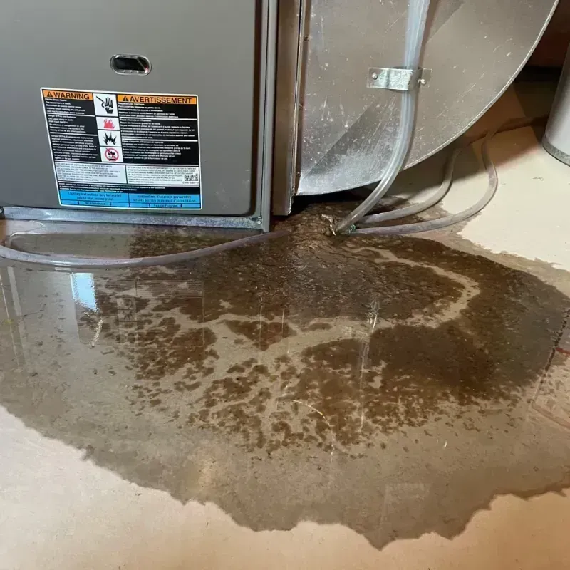 Appliance Leak Cleanup in Elmwood Park, IL